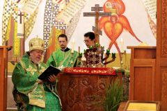 Ordination-8